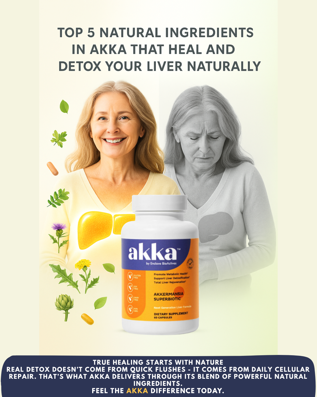 Top 5 Natural Ingredients in AKKA That Heal and Detox Your Liver Naturally
